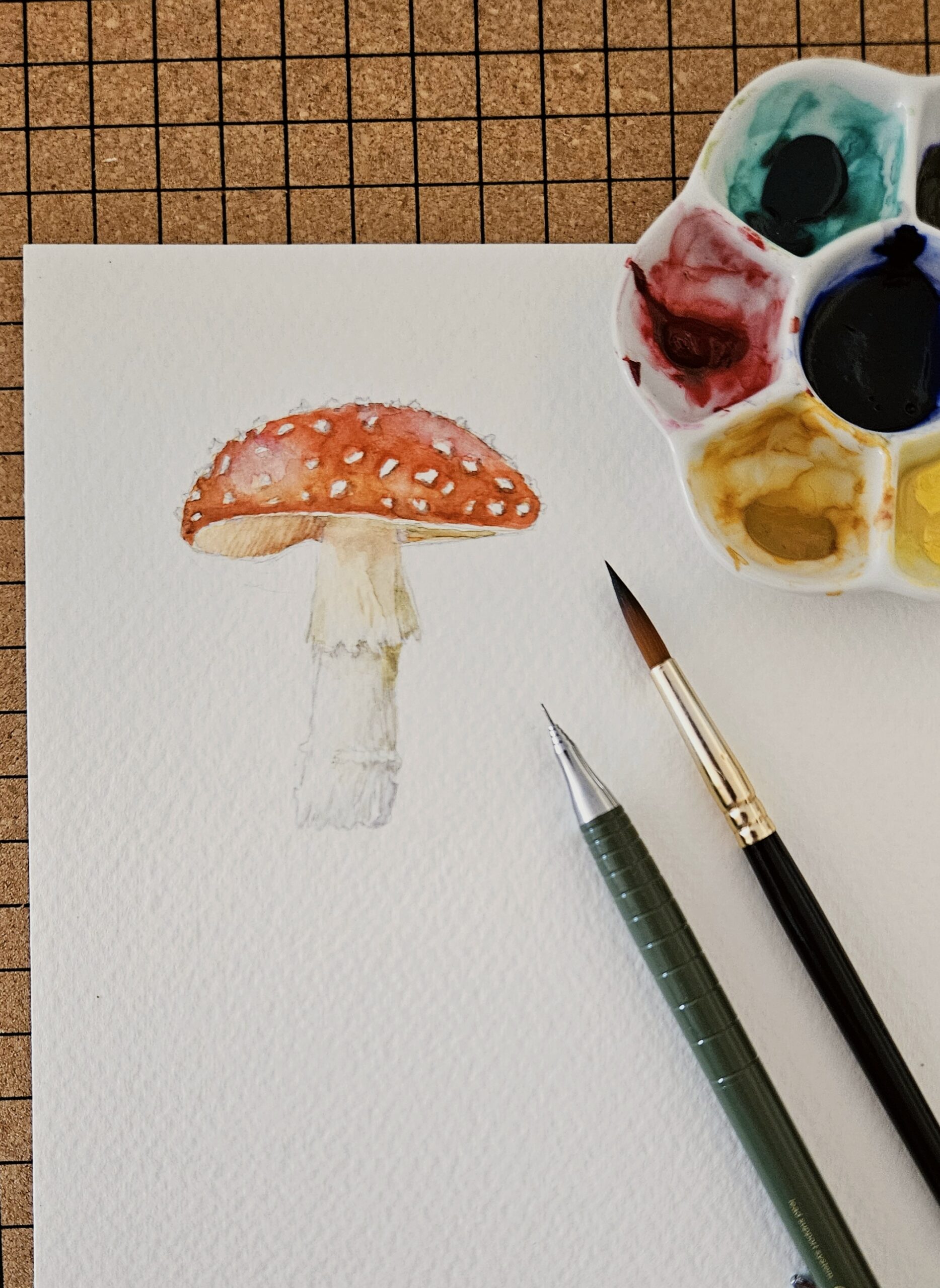17 de octubre: Taller de Acuarela- Setas y hongos